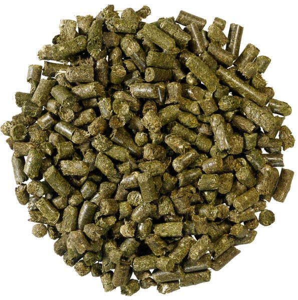 DERBY Wiesencobs DERBY Wiesencobs